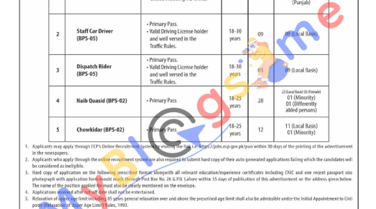 Election Commission Punjab Jobs 2024